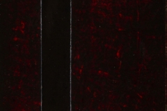 331/12.2019.BH