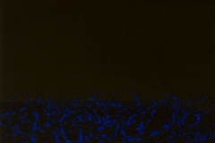 399/05.2021.BH.